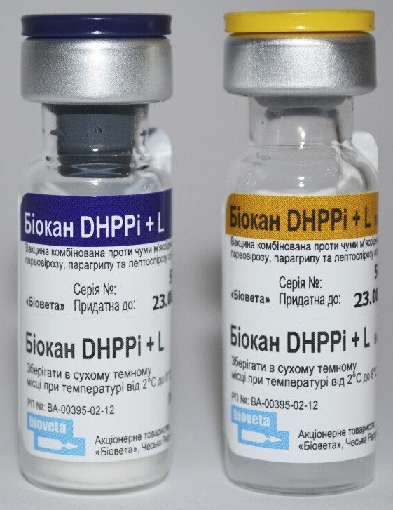После прививки биокан. Биокан DHPPI+LR. Вакцина Биокан LR. Вакцина Биокан Паппи. Биокан LR L вакцина для собак.